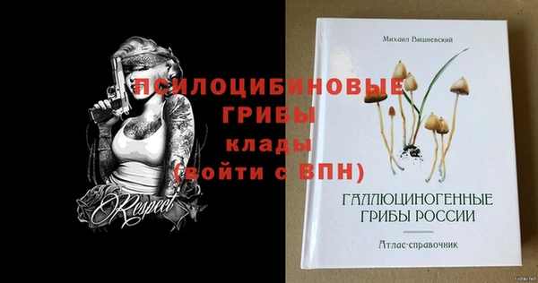 дурь Бородино