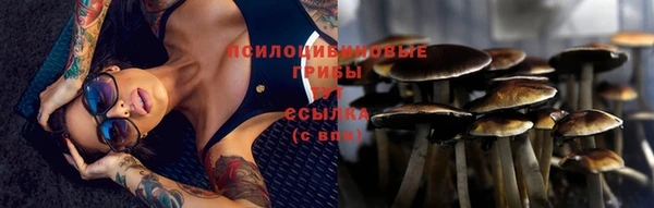 молекула духа Бугульма