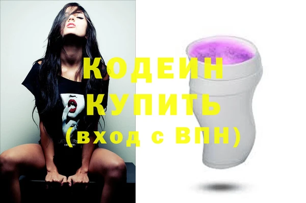 дурь Бородино