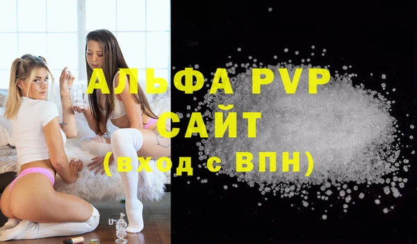 дурь Бородино